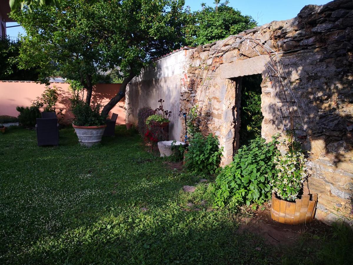 Zia Chiarina Bed & Breakfast San Nicolo Gerrei Eksteriør bilde