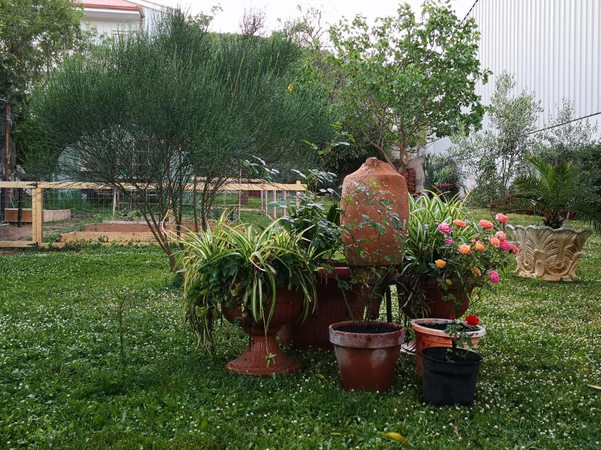 Zia Chiarina Bed & Breakfast San Nicolo Gerrei Eksteriør bilde