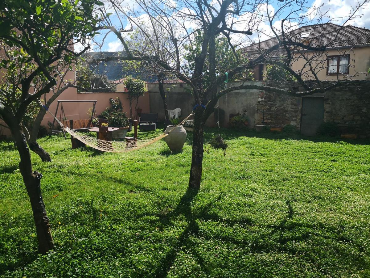 Zia Chiarina Bed & Breakfast San Nicolo Gerrei Eksteriør bilde