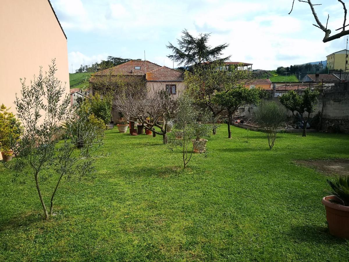 Zia Chiarina Bed & Breakfast San Nicolo Gerrei Eksteriør bilde
