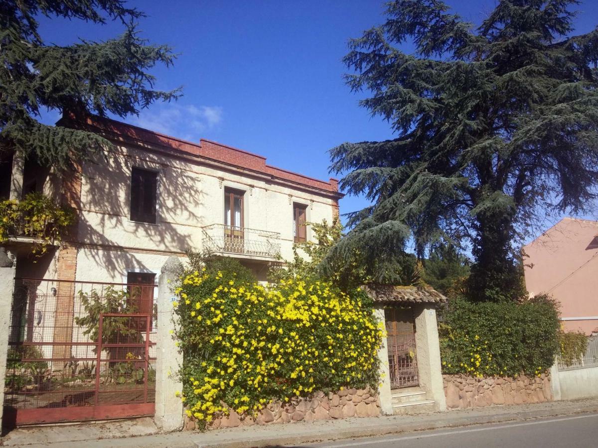 Zia Chiarina Bed & Breakfast San Nicolo Gerrei Eksteriør bilde