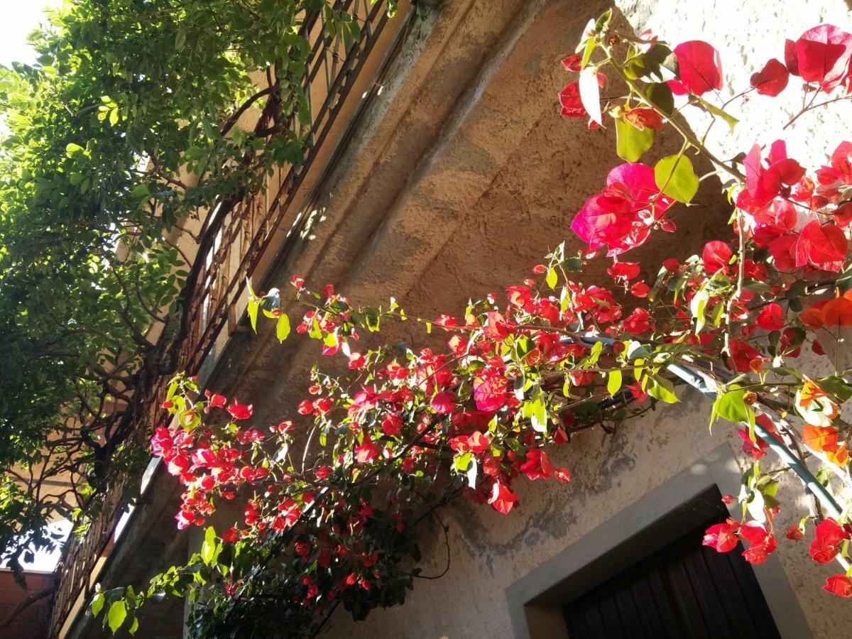 Zia Chiarina Bed & Breakfast San Nicolo Gerrei Eksteriør bilde