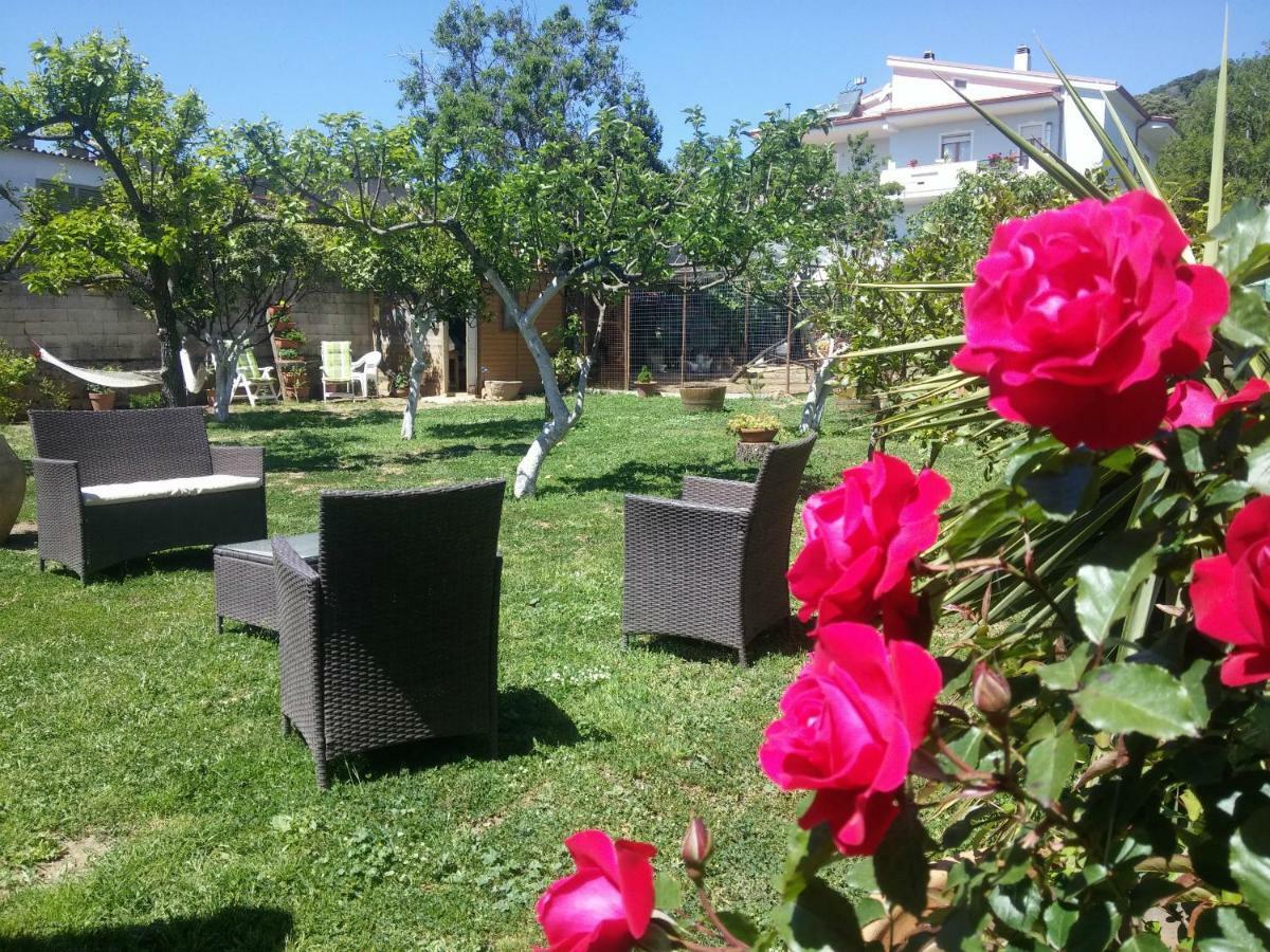 Zia Chiarina Bed & Breakfast San Nicolo Gerrei Eksteriør bilde
