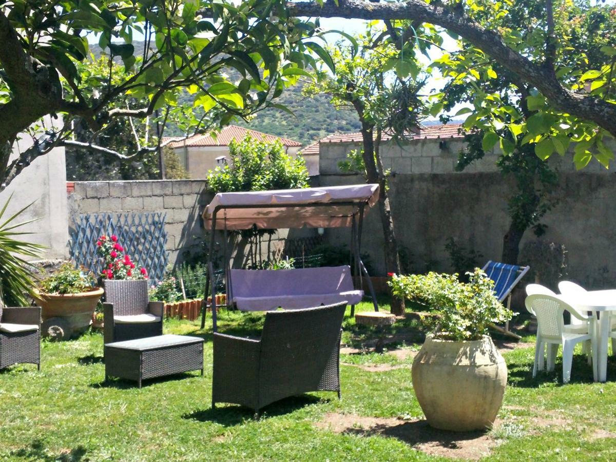 Zia Chiarina Bed & Breakfast San Nicolo Gerrei Eksteriør bilde