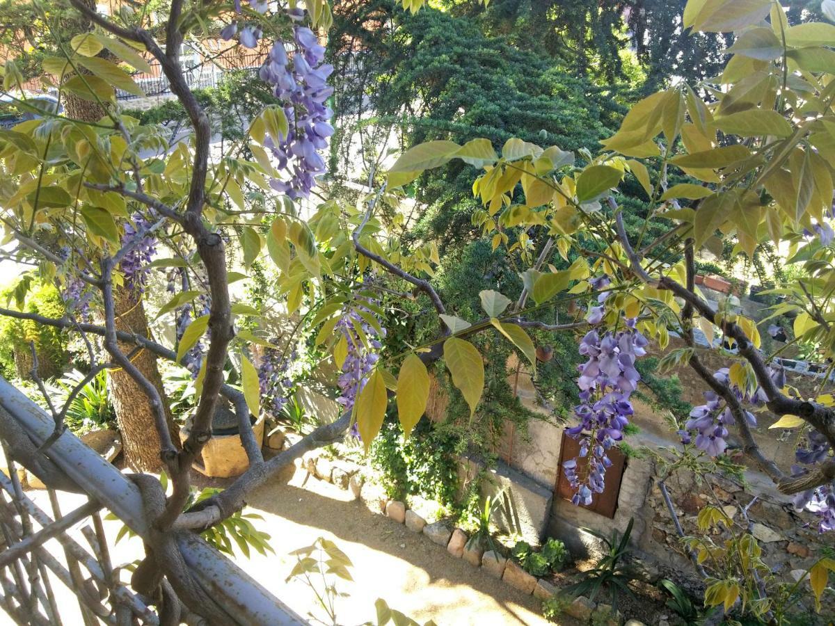 Zia Chiarina Bed & Breakfast San Nicolo Gerrei Eksteriør bilde