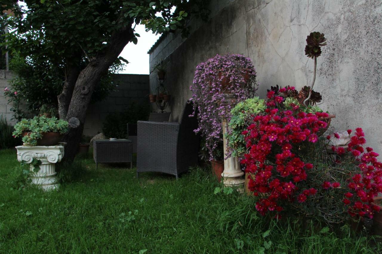 Zia Chiarina Bed & Breakfast San Nicolo Gerrei Eksteriør bilde
